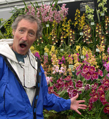 orchids
