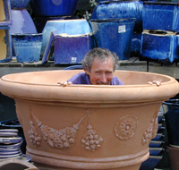 Pot