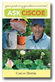 ciscoe book